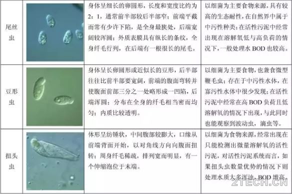 环保之家2.JPG