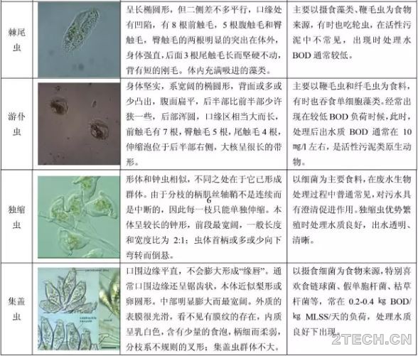 环保之家6.JPG