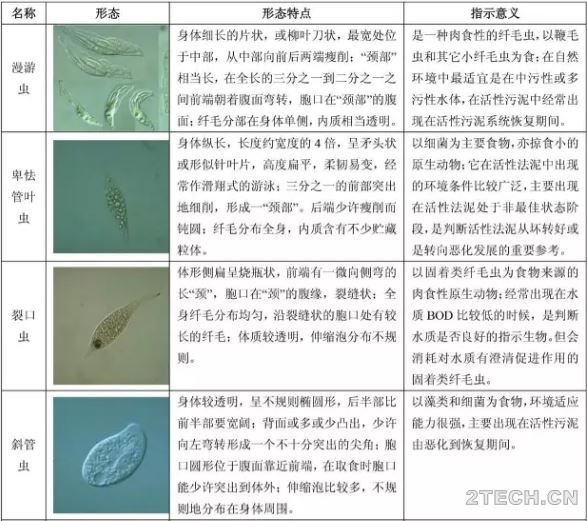 环保之家3.JPG