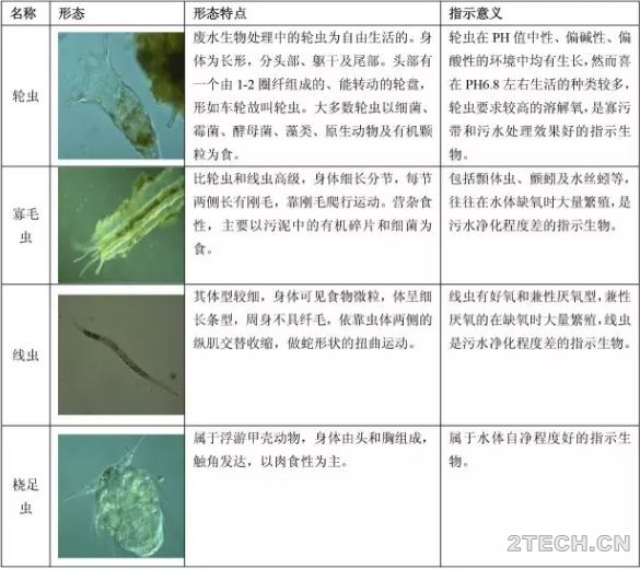 环保之家7.JPG