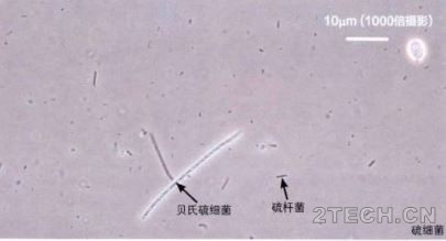 环保之家3.JPG