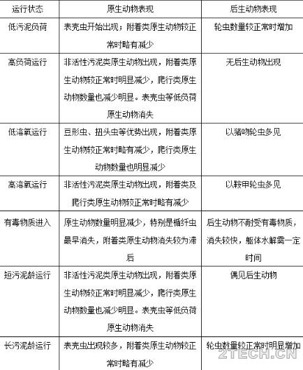 环保之家12.JPG