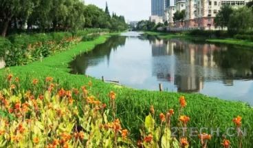 解析：河道综合治理与恢复策略 - 环保之家 