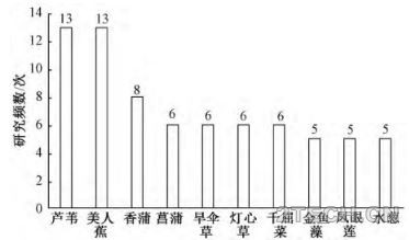 研究：人工湿地中湿地植物水体净化能力 - 环保之家 