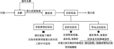 进展：市政剩余污泥蛋白质资源化技术研究 - 环保之家 