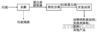 进展：市政剩余污泥蛋白质资源化技术研究 - 环保之家 