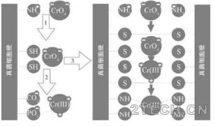 深度：铬污染场地生物吸附修复技术 - 环保之家 