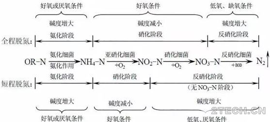 深度：氨氮超标原因分析与解决措施 - 环保之家 