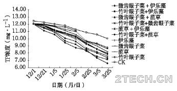 漫说：景观水体修复耐低温沉水植物脱氮除磷效果 - 环保之家 