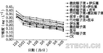 漫说：景观水体修复耐低温沉水植物脱氮除磷效果 - 环保之家 