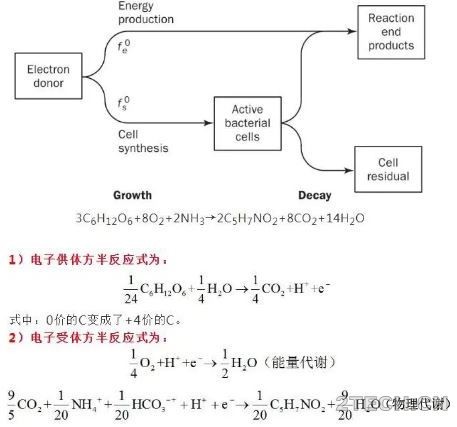 探究：常见的营养物质搭配比例 - 环保之家 