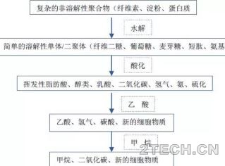 论道：污泥处理处置及未来主流技术展望 - 环保之家 