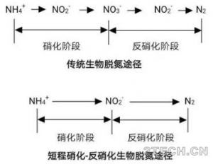 区别：厌氧氨氧化与短程硝化反硝化