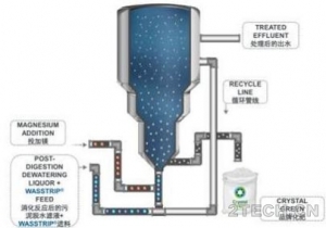 资源化：污水磷回收技术之鸟粪石沉淀